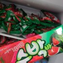 챔피언태권도장 이미지