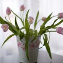 참좋은이웃 이미지