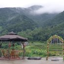 지리산황금농장 이미지