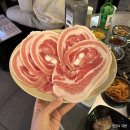 돼지냉꽃삼