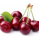 체리의 효능 10가지 이미지