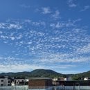 많은 군중이 예수님의 말씀을 기쁘게 들었다. (마르 12,37) 이미지