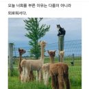 돈생각 이미지