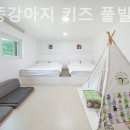 키즈풀빌라 똥강아지 이미지