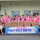 따사모 봉사단 이미지