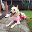 멍스퀘어 이미지