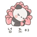 혜성패키지 이미지