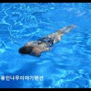 용인나무이야기 | 용인 수영장 가족펜션 용인나무이야기펜션 조용하고 친절한 힐링 공간
