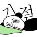 셀프 강아지 목욕탕 이미지