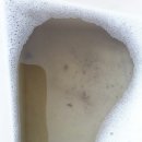 가족크리닝?? 이미지