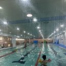 오션 차일드 평택센터 | 평택 수영장 오션차일드 비젼센터 6살 무료 체험 수업 후기