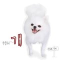 루이네 집 이미지
