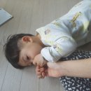 태건농장 이미지