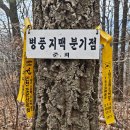 아내의. 꽃(花희) | 황룡(병풍)지맥 제1구간 - 분기점에서 바심재까지