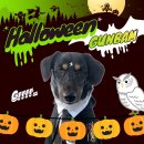 네버슬립독 이미지