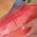 표씨농장 이미지