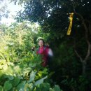 도내2리 이미지