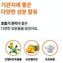 브레스:숨 | 강아지 기관지염 브레스캡스 영양제 급여후기