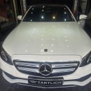 제틀리시(zartlich) 이미지