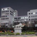 경희헤어아트 이미지