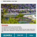 강변의수채화 이미지