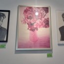 인트로아 이미지