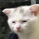 서울피부과의원 이미지