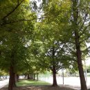 초전공원 이미지