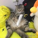심통