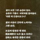 보배반점(구로점) 이미지