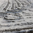 백암남자 이미지