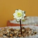 형제당 - 보성군 중앙로 66 | 형제당
