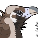 수림상회 이미지