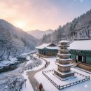 마수목장 | 겨울 추천여행지 Top 5 – 설레는 감성 겨울여행, 어디로 갈까?