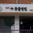 대치수동물병원 이미지