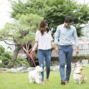 더빛나개 이미지