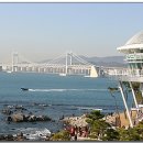 누리상회 이미지