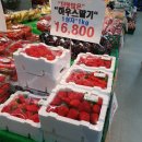 우방강촌 대백마트 앞 이미지