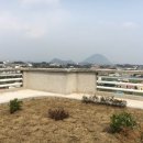 하모리-37 Daum카페