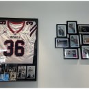 고앤고짐 이미지