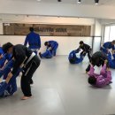 수락주짓수파라에스트라 서울 이미지