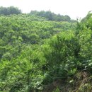 황재농장 이미지