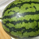 숯양두마리치킨 서면점 이미지