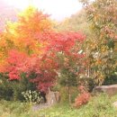 정선베다니자연농장 이미지