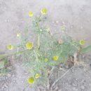 계양경기장 이미지