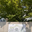 노나먹개 이미지