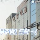 새말길 Daum카페