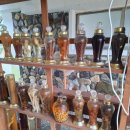 청도강변돌고래펜션 이미지