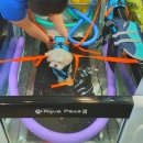 베리떼 동물병원 | 근육과 관절에 무리를 주지 않는 강아지수중런닝머신 후기 :: 인천 송도 베리떼동물병원