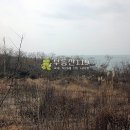 충남 당진시 송산면 가곡리 / 임야 야산, 펜션용지 묘자리 사찰부지 영림용지 펜션부지 / 1 이미지